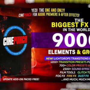 Cinepunch Master Suite v15