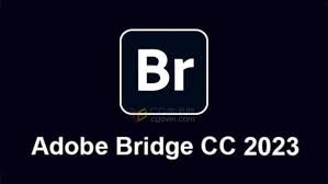 Adobe Bridge 2024